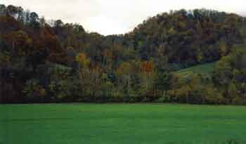 Meadow